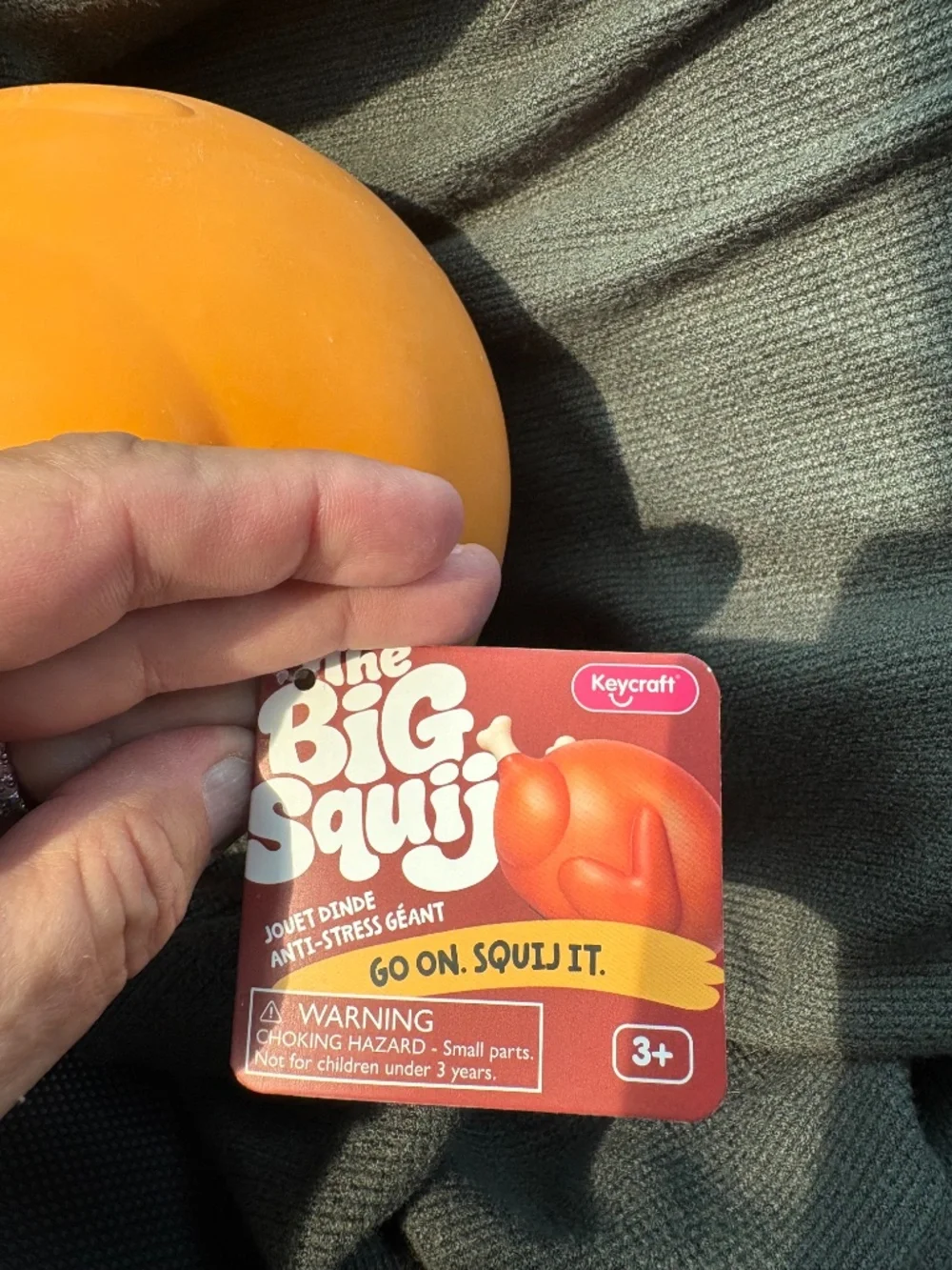 BRAND NEW RELEASE GIANT TURKEY SQUISHY